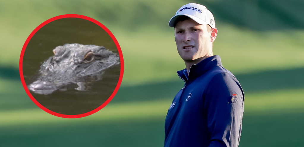 Druže, jesi ti lud ili glup?! Čovek rizikovao život da bi izveo udarac - Aligator naciljao plen (VIDEO)