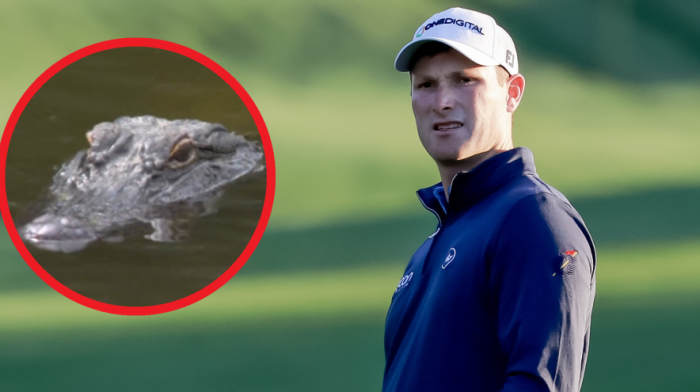 Druže, jesi ti lud ili glup?! Čovek rizikovao život da bi izveo udarac - Aligator naciljao plen (VIDEO)