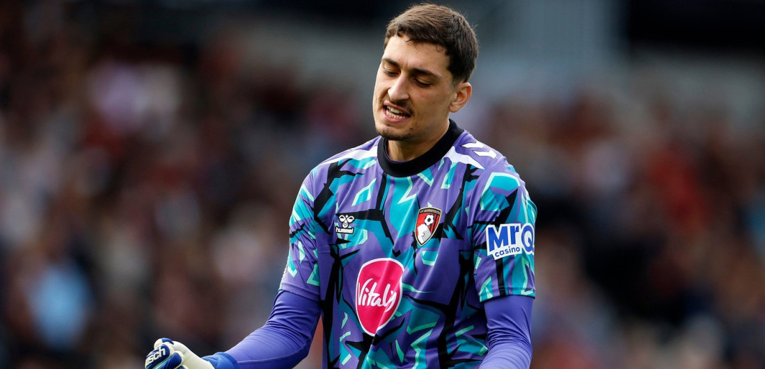Šta uradi to, crni Đorđe? Veliki kiks golmana Srbije - Brentford i dalje bez pobede (VIDEO)